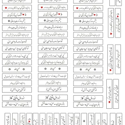 طلق ترنسپرنت متن پشت پلاک