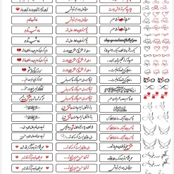 طلق متن پشت پلاک