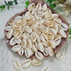 صدف سیپرا