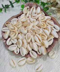 صدف سیپرا